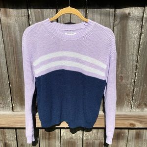American Eagle Striped Purple Sweater